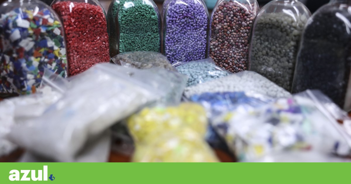 Fardos, flocos e farinha de plástico: fomos conhecer uma unidade de reciclagem | Reportagem