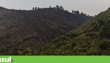 “Vítima de falta de atenção”, Peneda-Gerês regista milhares de hectares ardidos | Conservação da natureza