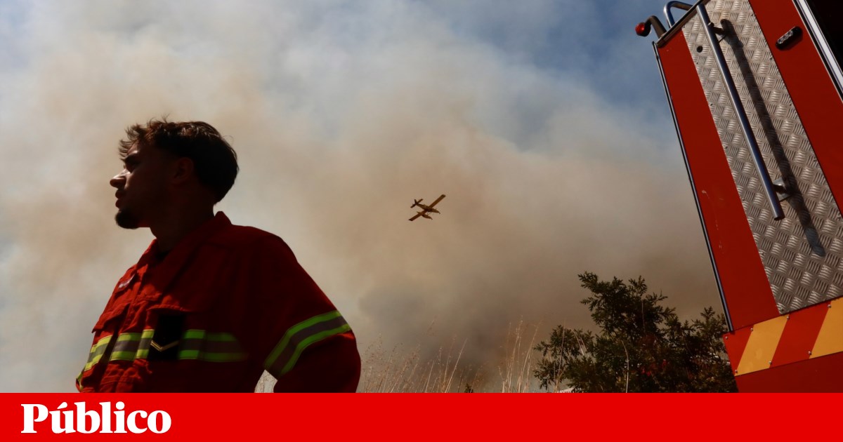 GNR já deteve 36 incendiários em flagrante delito este ano | Incêndios florestais