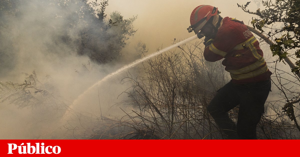 “Próxima semana será difícil”: Governo decreta cinco dias de situação de alerta | Incêndios florestais