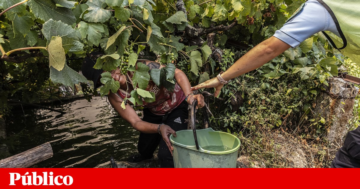 Incêndios: proibições, excepções e conselhos a seguir durante situação de alerta | Protecção Civil
