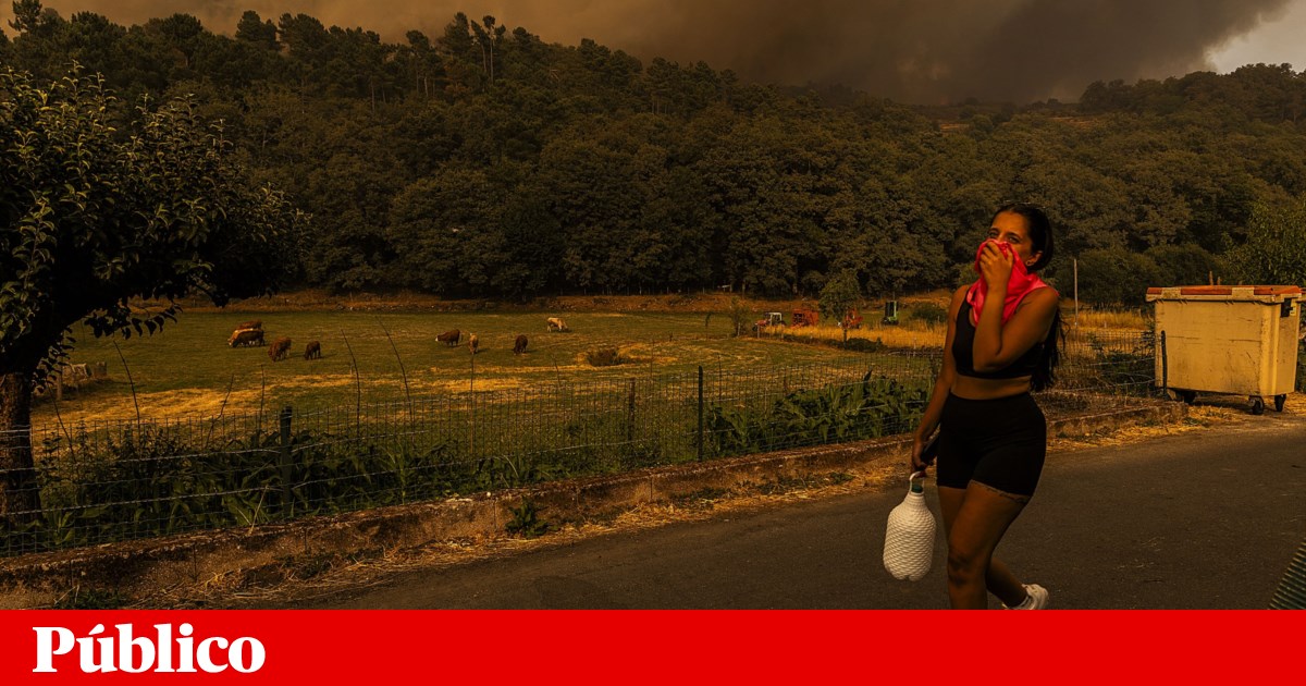 Três incêndios significativos no primeiro dia da situação de alerta | Incêndios