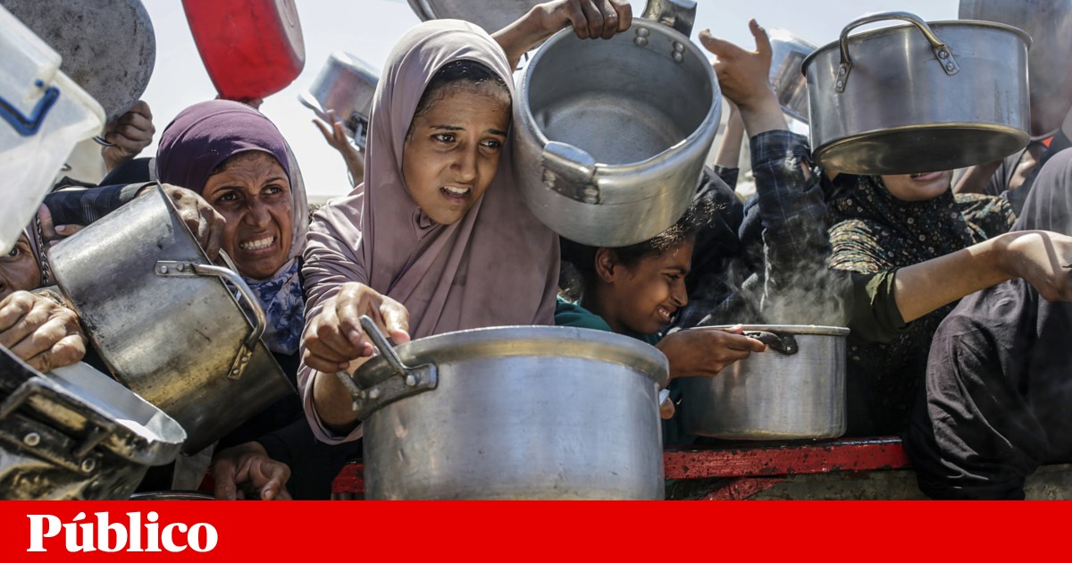 Antigos responsáveis militares e de segurança pedem fim da guerra em Gaza | Israel
