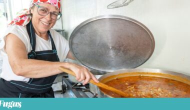 Ílhavo celebra o bacalhau com festival e mercado. Brasil é país convidado | Ílhavo