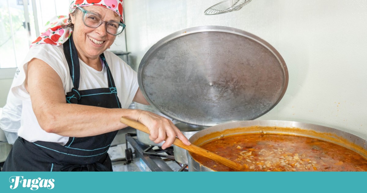 Ílhavo celebra o bacalhau com festival e mercado. Brasil é país convidado | Ílhavo
