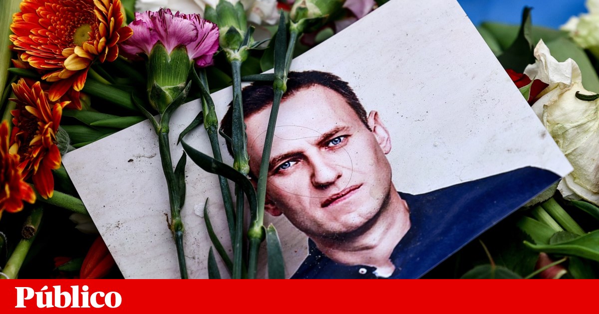 Câmara de Lisboa perde recurso e volta a ser condenada no caso Russiagate | Câmara de Lisboa