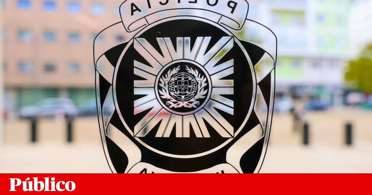 PJ apreende tonelada e meia de cocaína em contentores com peles de animais em Fafe | Tráfico de droga