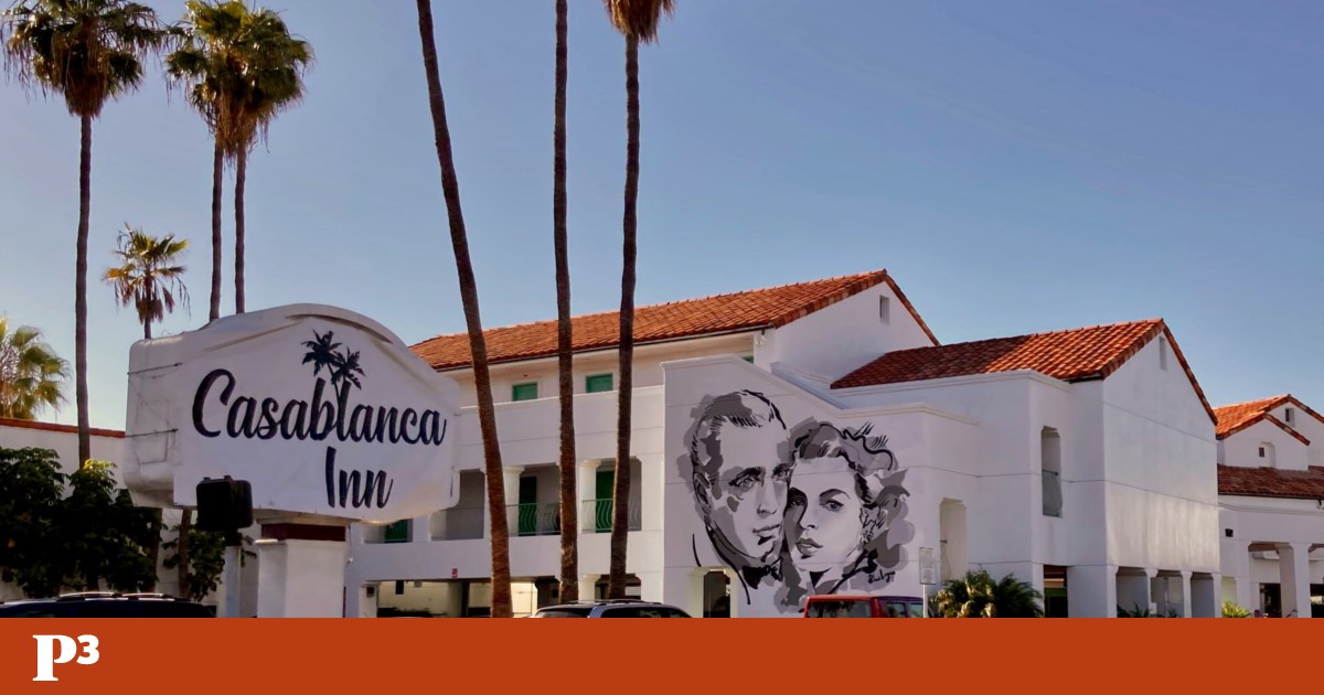 Teremos sempre Ingrid Bergman… à meia-luz | Megafone