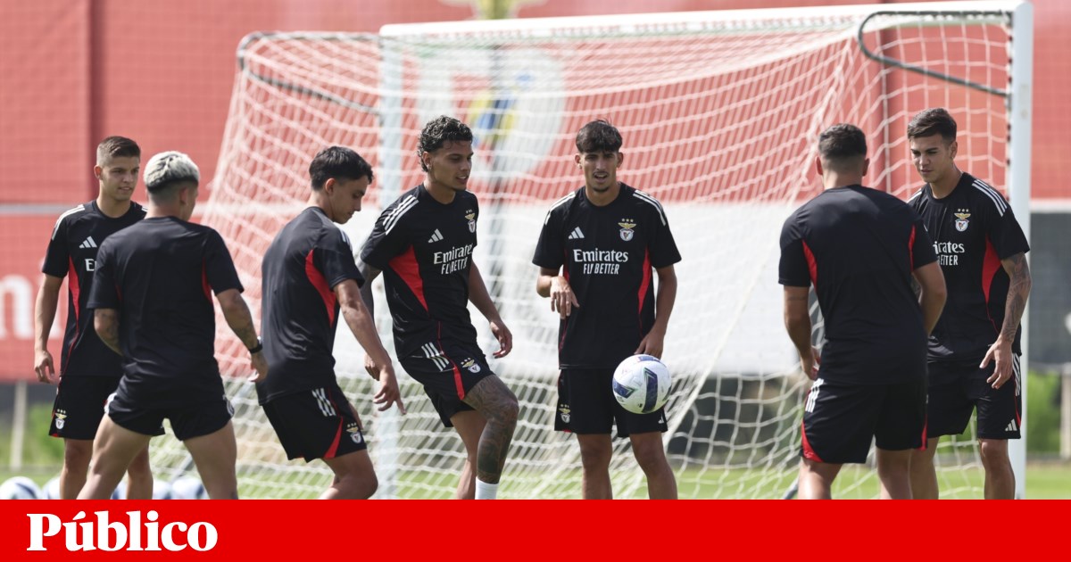 Na Champions, o Benfica vai a exame na cadeira de gestão | Futebol
