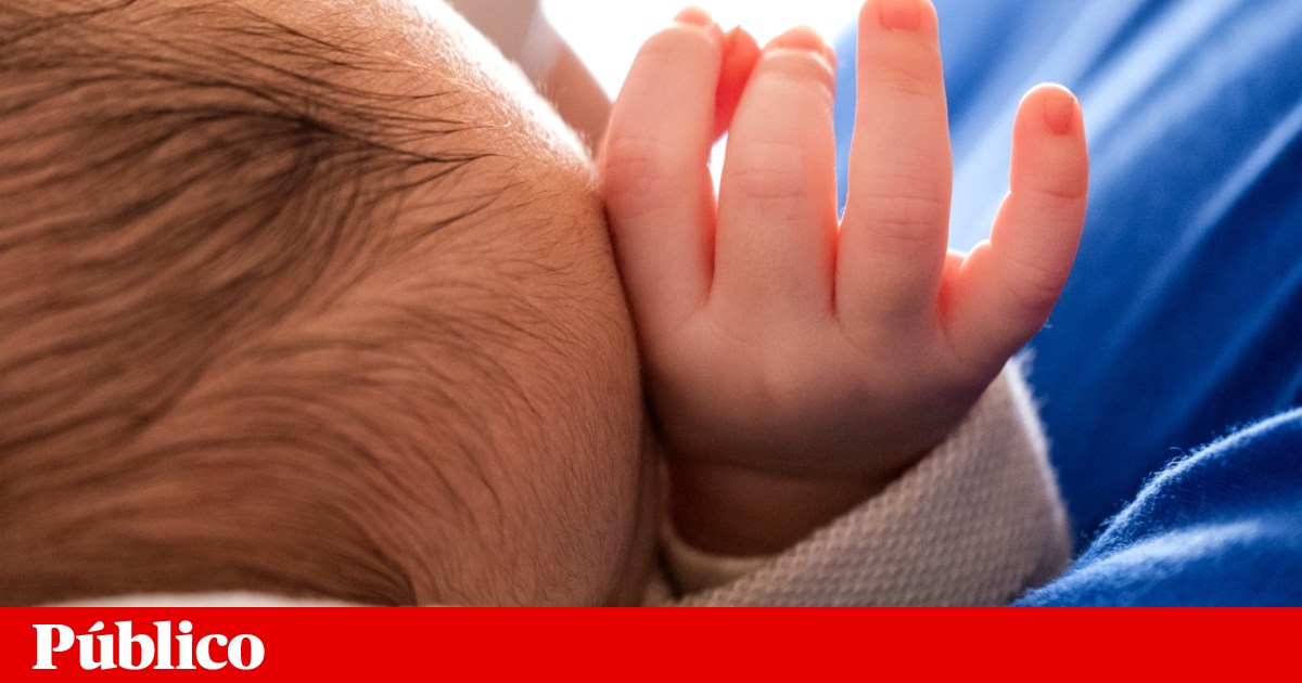 Ex-assessora de ministra sugere chamar CPCJ em casos de amamentação após dois anos | Trabalho