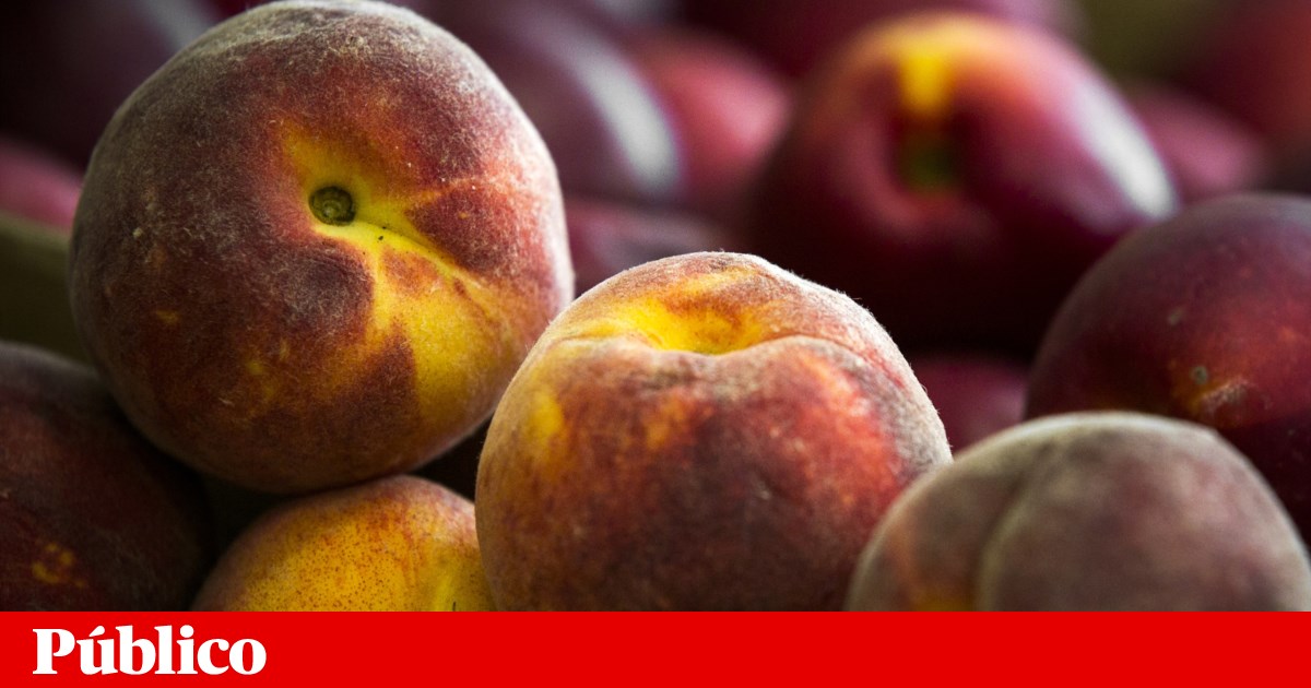 Frutas e café são os produtos que mais estão a fazer subir a inflação | Preços