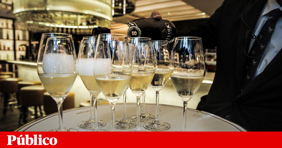 Desacato entre mulheres da elite angolana em restaurante de luxo em Lisboa | JNcQuoi