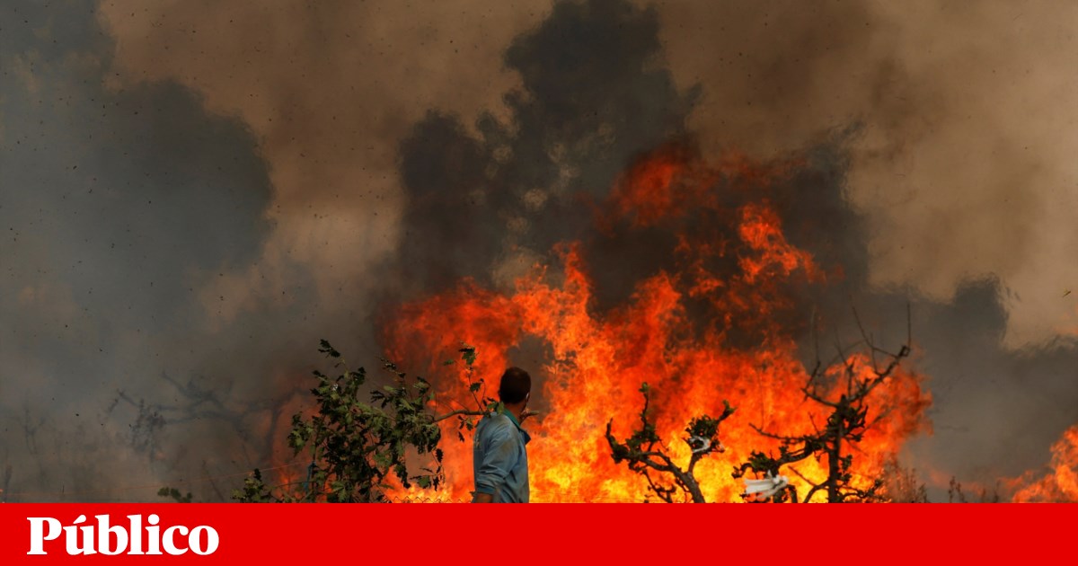 Espanha pede ajuda europeia para combater incêndios | Incêndios