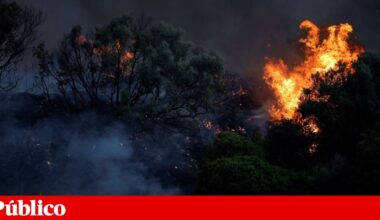 Incêndios obrigam a evacuar área com 7700 habitantes na Grécia | Incêndios