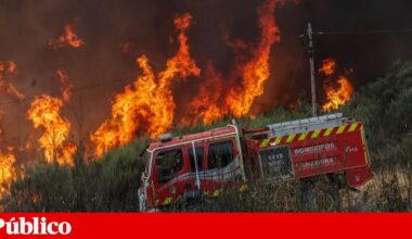 Ordem dos Advogados vai prestar apoio jurídico gratuito às vítimas dos incêndios | Justiça