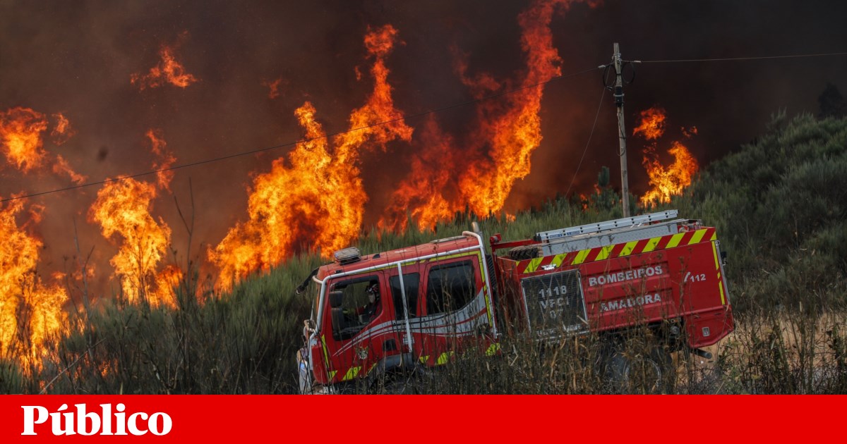 Ordem dos Advogados vai prestar apoio jurídico gratuito às vítimas dos incêndios | Justiça