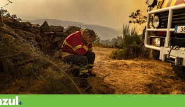 Com Espanha a arder, Sánchez propõe “pacto para emergência climática” | Clima