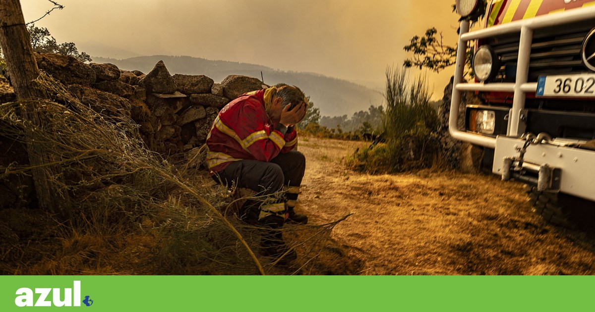 Com Espanha a arder, Sánchez propõe “pacto para emergência climática” | Clima
