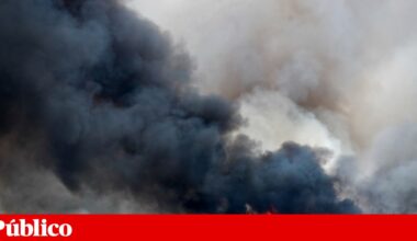 Ateou oito incêndios em seis dias. Foi agora detido pela PJ | Incêndios
