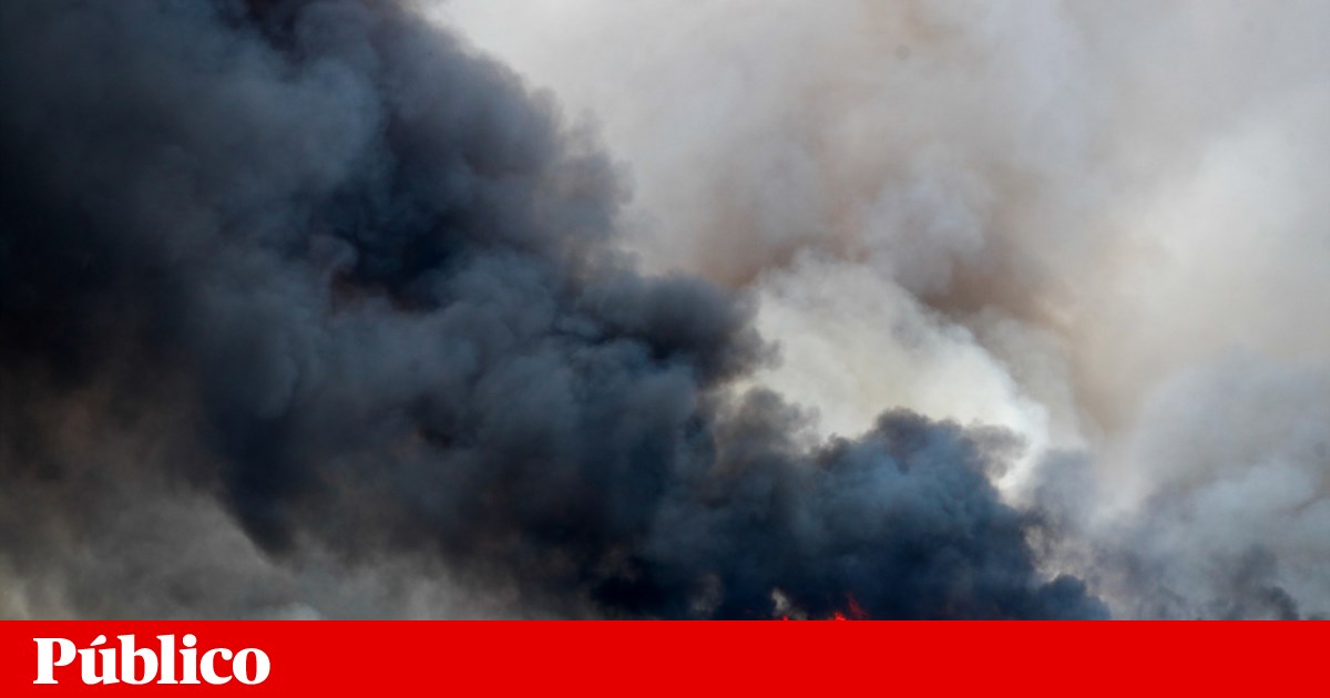 Ateou oito incêndios em seis dias. Foi agora detido pela PJ | Incêndios