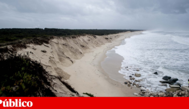 Reabertas praias da Figueira da Foz após alimentação artificial | Ambiente