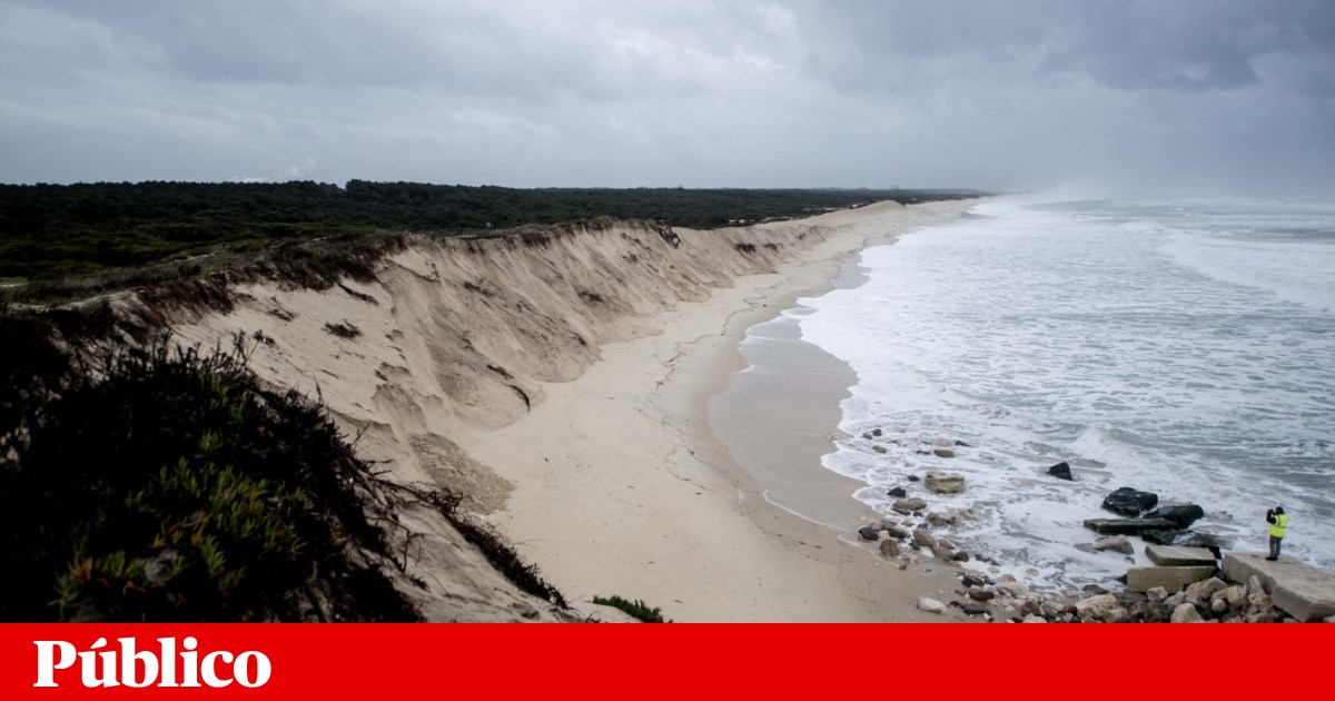 Reabertas praias da Figueira da Foz após alimentação artificial | Ambiente