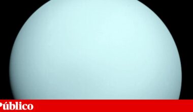 Úrano ganha uma nova lua e soma um total de 29 | Sistema solar