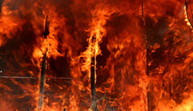 Cerca de 2.700 operacionais combatiam esta manhã principais fogos em Portugal