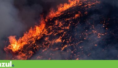 Florestas privadas são mais propensas a incêndios graves | Incêndios florestais