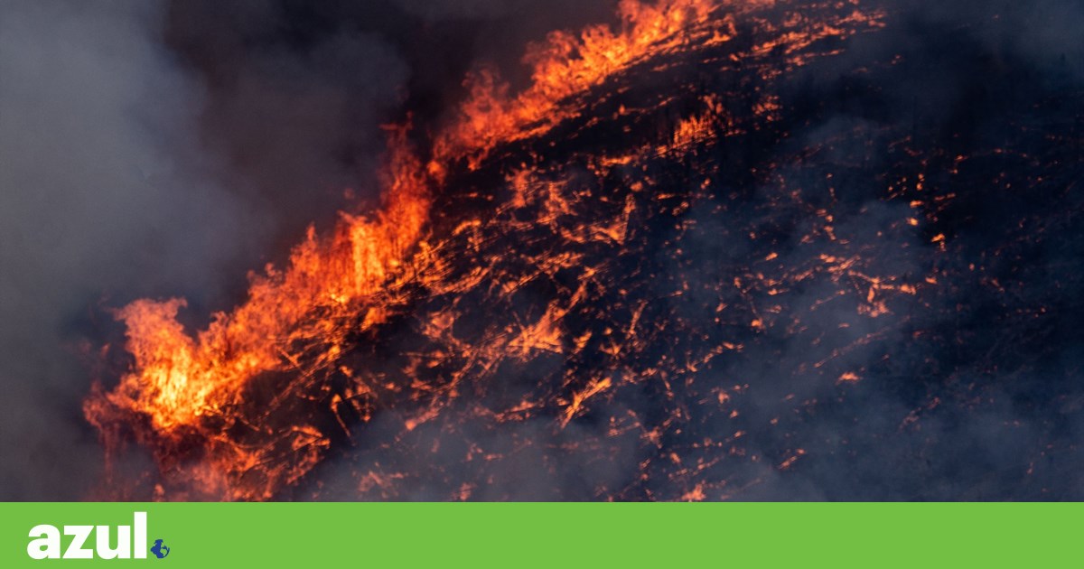 Florestas privadas são mais propensas a incêndios graves | Incêndios florestais