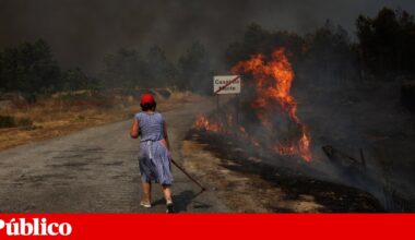 Fogos de Trancoso e Arganil são dois dos três maiores incêndios de sempre em Portugal | Incêndios florestais