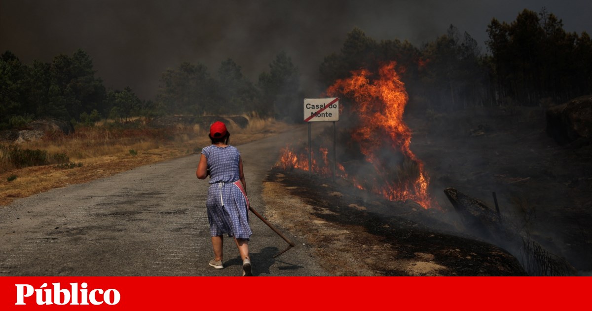 Fogos de Trancoso e Arganil são dois dos três maiores incêndios de sempre em Portugal | Incêndios florestais