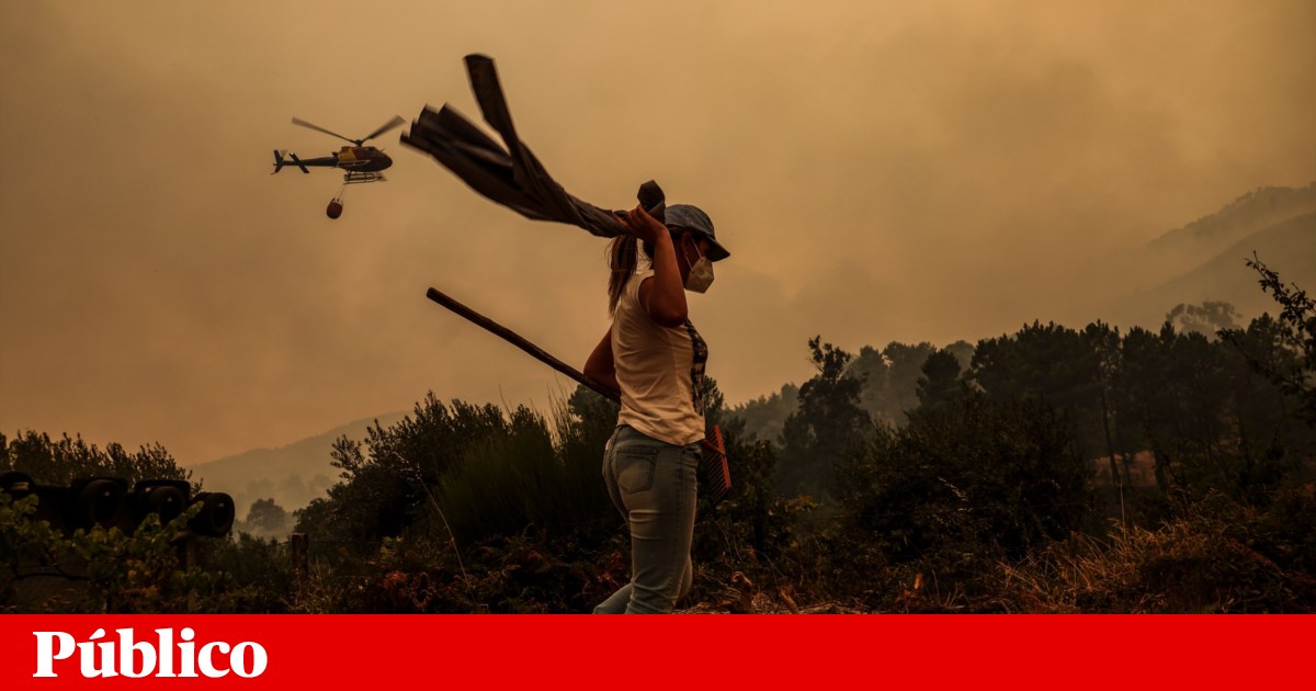 Incêndios provocam terceira vítima mortal este ano | Incêndios florestais