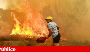 A ajuda dos imigrantes: no combate às chamas “não há nacionalidades” | Incêndios florestais