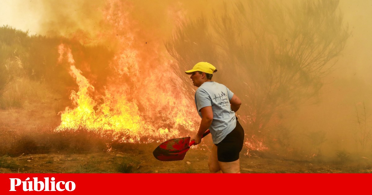 A ajuda dos imigrantes: no combate às chamas “não há nacionalidades” | Incêndios florestais