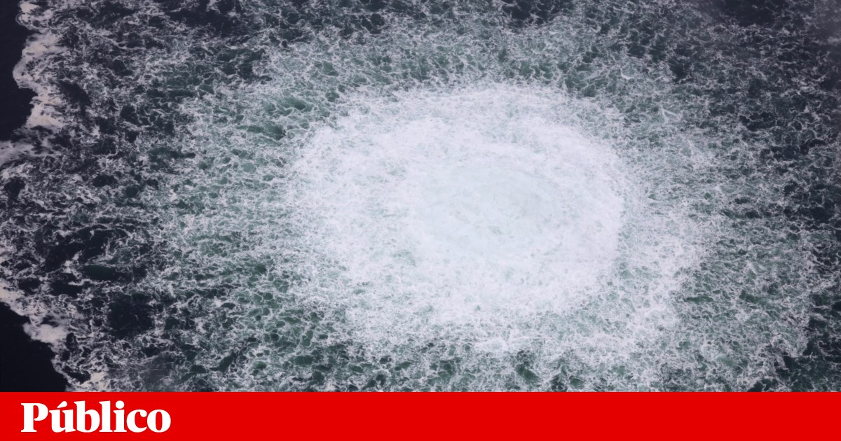 Itália detém ucraniano suspeito de ter atacado o gasoduto Nord Stream em 2022 | Guerra na Ucrânia