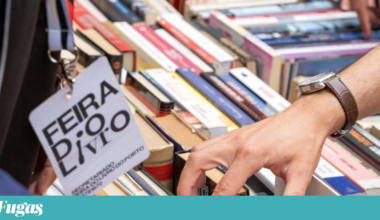 O que fazer neste fim-de-semana? Ir aos livros e às ostras | Lazer