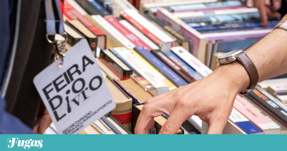 O que fazer neste fim-de-semana? Ir aos livros e às ostras | Lazer