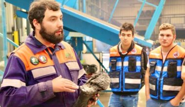 “Pedrógão está neste momento muito mais vulnerável do que estava antes do incêndio” | Entrevista
