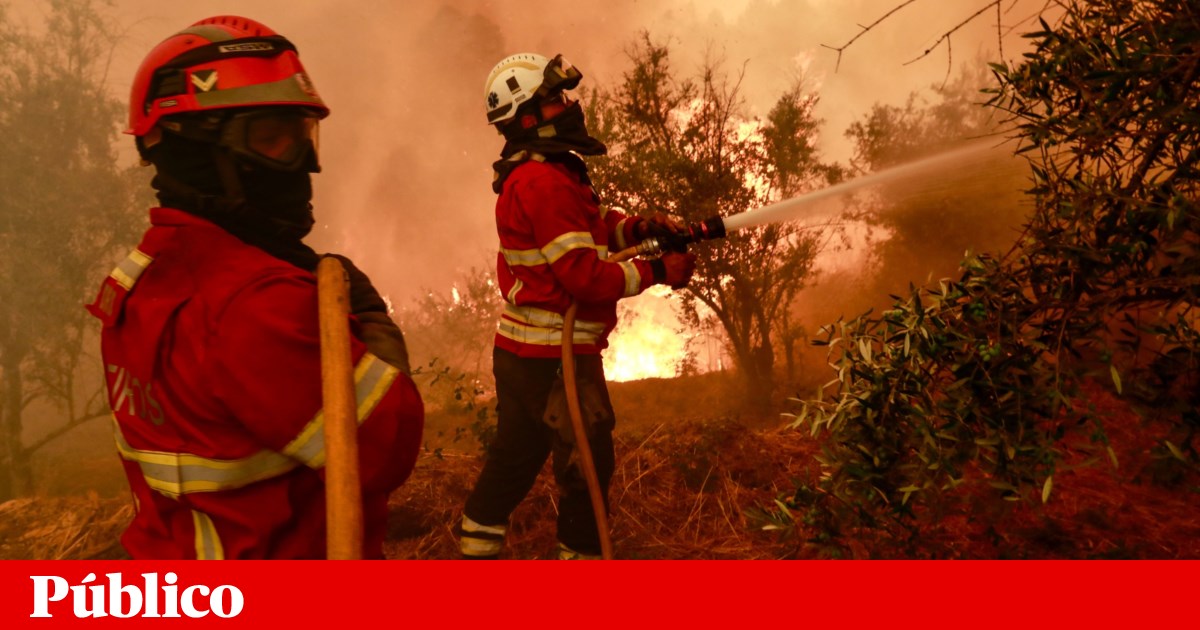 Fogo começa em Pedrógão Grande e obriga a corte do IC8 | Incêndios florestais