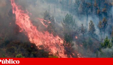 Incêndio de Piódão continua a preocupar, em Pedrógão “o pior já passou” | Protecção Civil