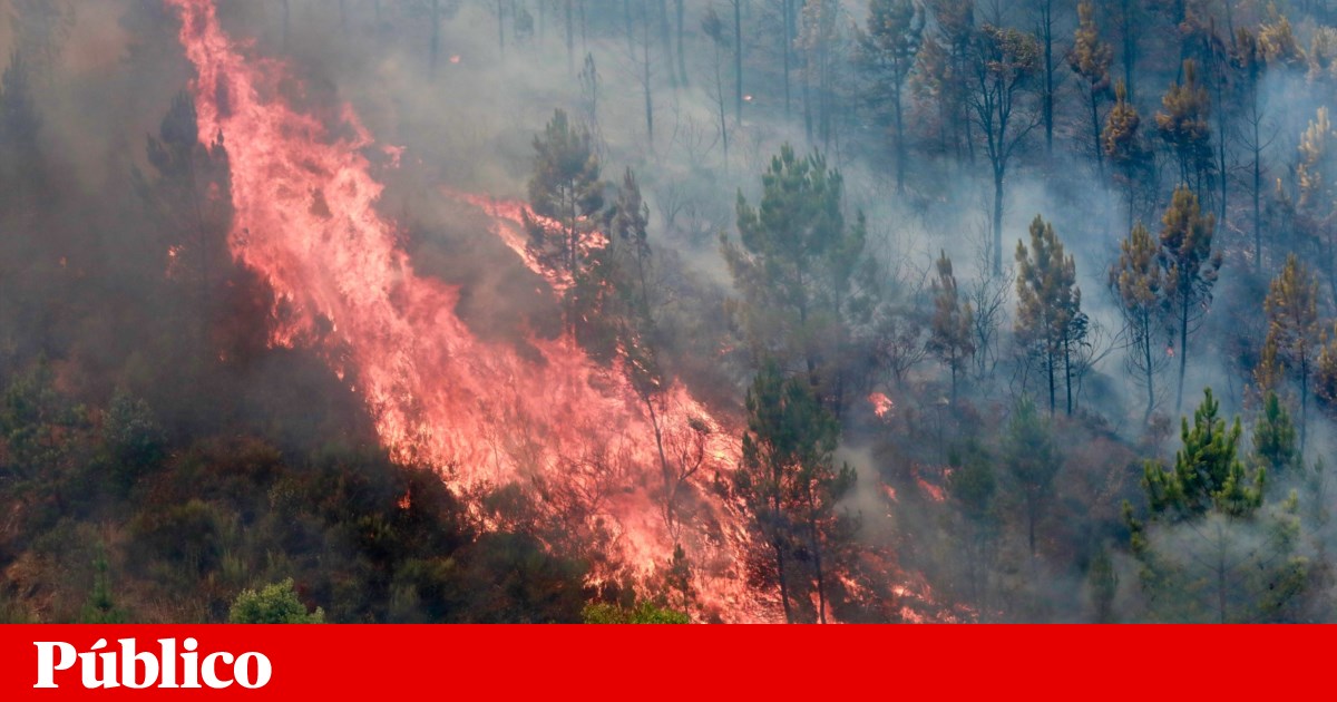 Incêndio de Piódão continua a preocupar, em Pedrógão “o pior já passou” | Protecção Civil