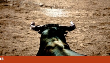 Ninguém deveria morrer numa arena | Megafone