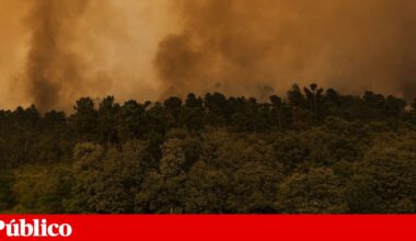 Empresas podem ficar isentas até um ano de contribuições para Segurança Social | Incêndios florestais