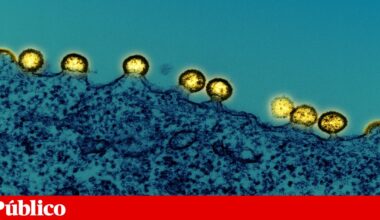 União Europeia aprova nova injecção da Gilead para prevenir o VIH | Medicamentos