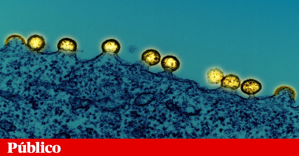 União Europeia aprova nova injecção da Gilead para prevenir o VIH | Medicamentos