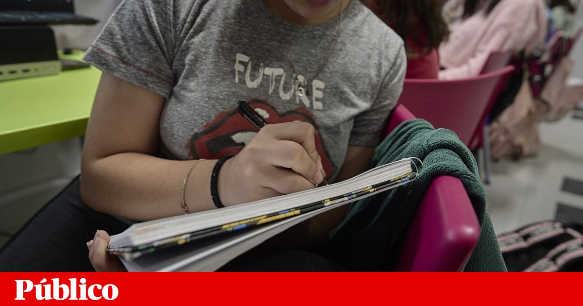 Há mais 12% de alunos estrangeiros nas escolas | Educação