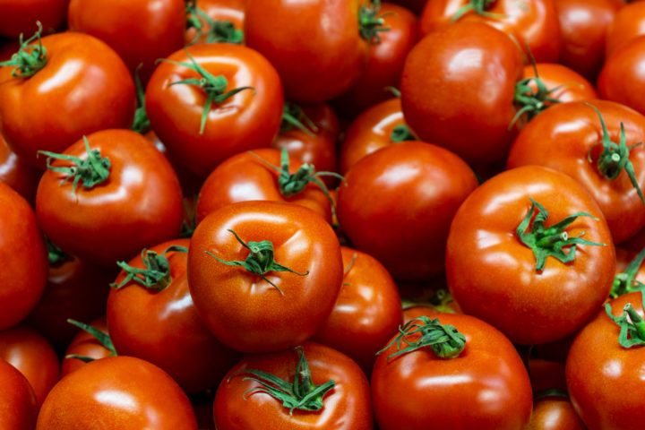 Assim, a vitamina C presente no tomate fortalece o sistema imunológico, ajudando o corpo a combater infecções e vírus. O lipoceno, por sua vez, ajuda a proteger a pele contra os danos causados pelo sol e a minimizar os efeitos estéticos da radiação ultravioleta. -freepik