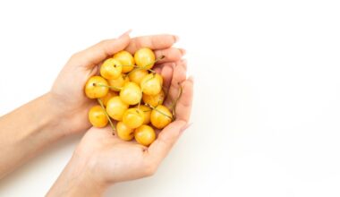 conheça alimento tropical com o dobro de proteína da banana e mais vitamina C que tangerina