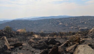 Meia centena de concelhos em perigo máximo de incêndio
